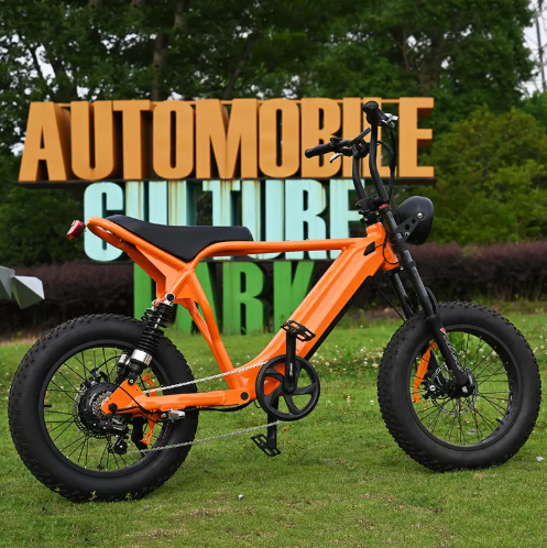 Jusqu’où peut aller un vélo électrique de 750 W ?