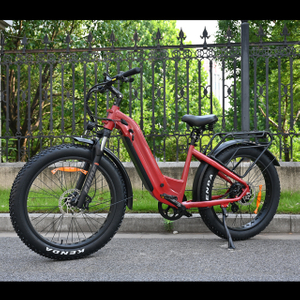 Étape à travers la conception du vélo de pneu gras électrique 26 'pouce pneu à pneu à vélo électrique à batterie unique à vendre