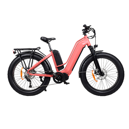 Étape TDA26L à double vélo électrique en matières grasses à double moteur