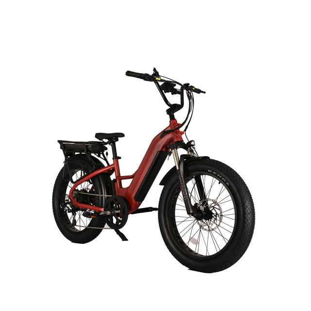 Vélo électrique à double batterie avec conception de moteur de moyeu arrière 26 'pouces de vélo électrique de pneu gras avec moteur puissant