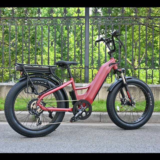 Vélo électrique à double batterie avec conception de moteur de moyeu arrière 26 'pouces de vélo électrique de pneu gras avec moteur puissant