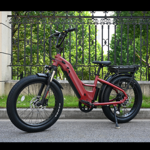 Vélo électrique à double batterie avec conception de moteur de moyeu arrière 26 'pouces de vélo électrique de pneu gras avec moteur puissant