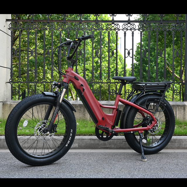 Vélo électrique à double batterie avec conception de moteur de moyeu arrière 26 'pouces de vélo électrique de pneu gras avec moteur puissant