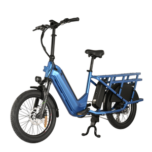 Nouveau vélo de cargaison avec batterie de tube cachée 20 'pouce de gros vélo de pneu