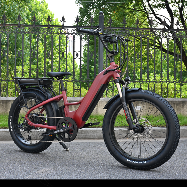 Vélo électrique à double batterie avec conception de moteur de moyeu arrière 26 'pouces de vélo électrique de pneu gras avec moteur puissant