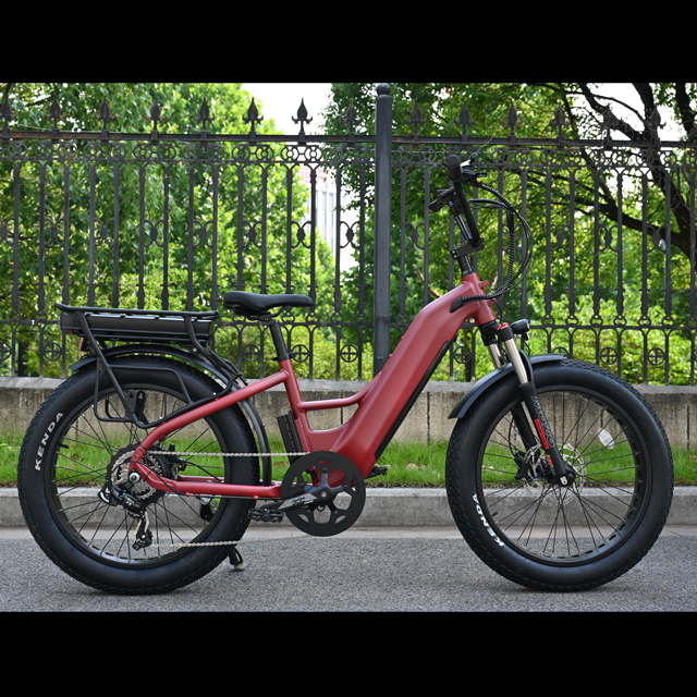 Vélo électrique à double batterie avec conception de moteur de moyeu arrière 26 'pouces de vélo électrique de pneu gras avec moteur puissant