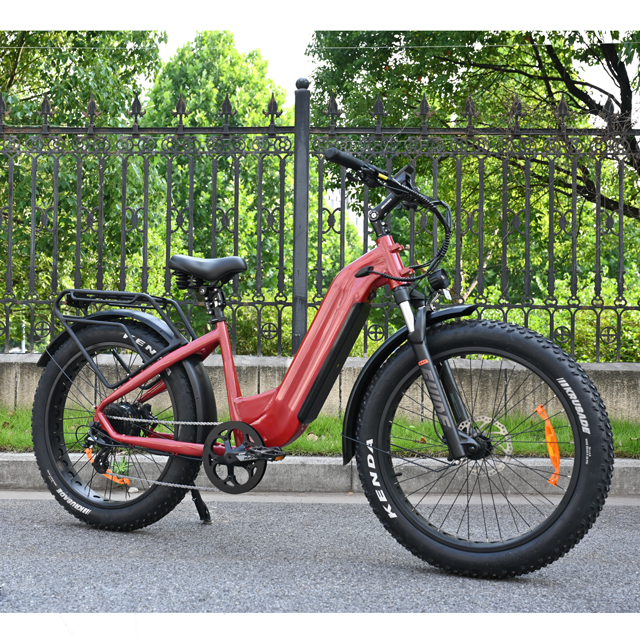 Étape à travers la conception du vélo de pneu gras électrique 26 'pouce pneu à pneu à vélo électrique à batterie unique à vendre