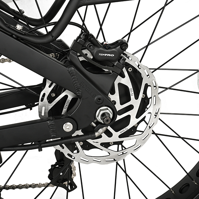 Mu-Terrain Off-Road Fat Tire Bike électrique Five Star II Bike Eletric High Power